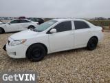 2010 TOYOTA COROLLA LE
