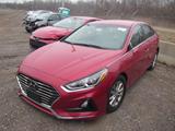 2019 HYUNDAI SONATA ECO TURBO, SE V4 2.4L