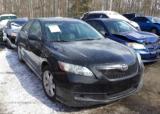 2009 TOYOTA CAMRY LE