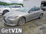 2019 LEXUS ES 350