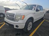 2012 FORD F-150 PLATINUM