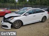 2017 HYUNDAI SONATA SPORT/LIMITED