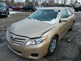 2010 TOYOTA CAMRY LE