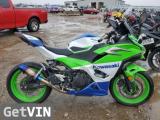2024 KAWASAKI NINJA 500 V2 0.451000L