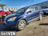 2009 Honda CR-V EX-L / EX-L W/NAVI
