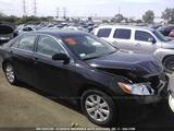 2007 TOYOTA CAMRY XLE V6