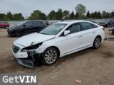 2017 HYUNDAI SONATA SPORT/LIMITED