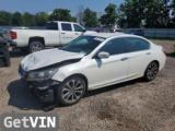 2014 HONDA ACCORD SPORT V4 2.4L