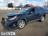 2019 TOYOTA RAV4 XLE / XLE PREMIUM 4WD V4 2.5L