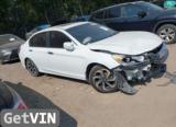 2016 HONDA ACCORD EX-L V4 2.4L