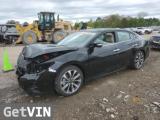 2023 NISSAN MAXIMA PLATINUM V6 3.5L