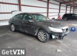 2013 HONDA ACCORD EX