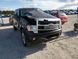 2009 Ford F-150 PLATINUM