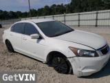 2010 HONDA ACCORD LX