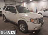 2009 Ford ESCAPE XLT