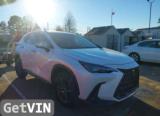2022 Lexus NX 250 PREMIUM