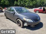 2010 TOYOTA CAMRY LE